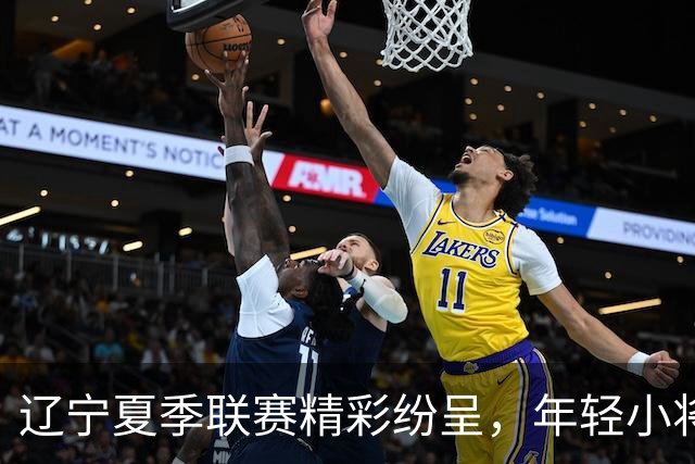 辽宁夏季联赛精彩纷呈，年轻小将闪耀全场，段睿骐与李虎翼成后场新星！